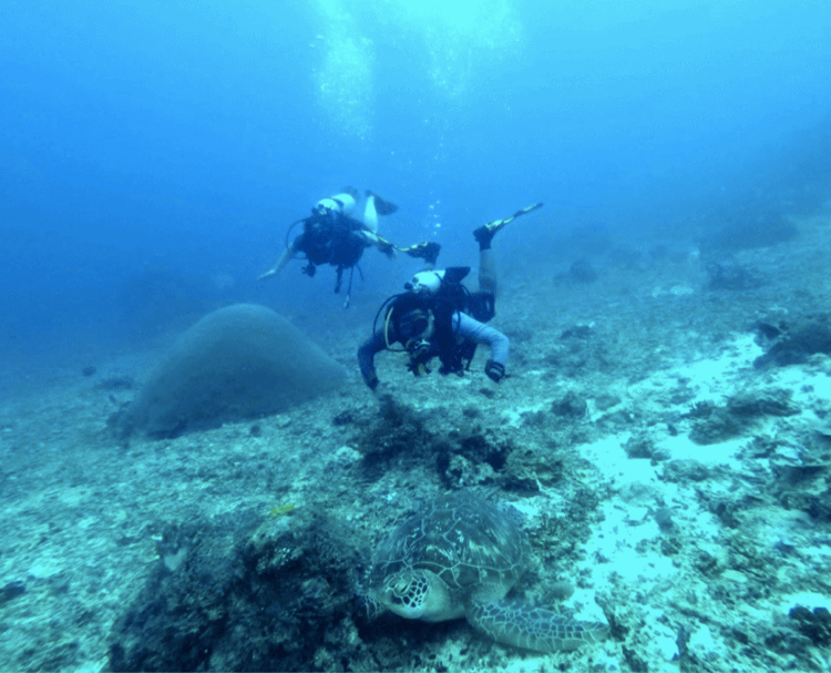Scuba Diving in andaman