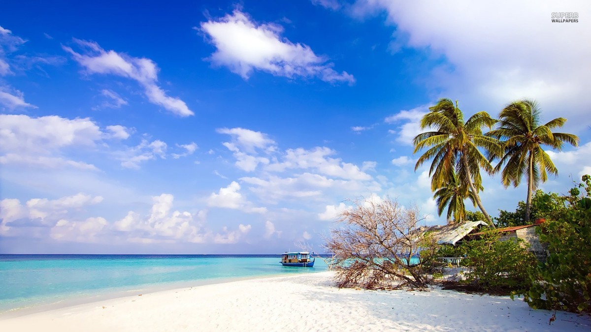 3N Port Blair with Havelock excursion
