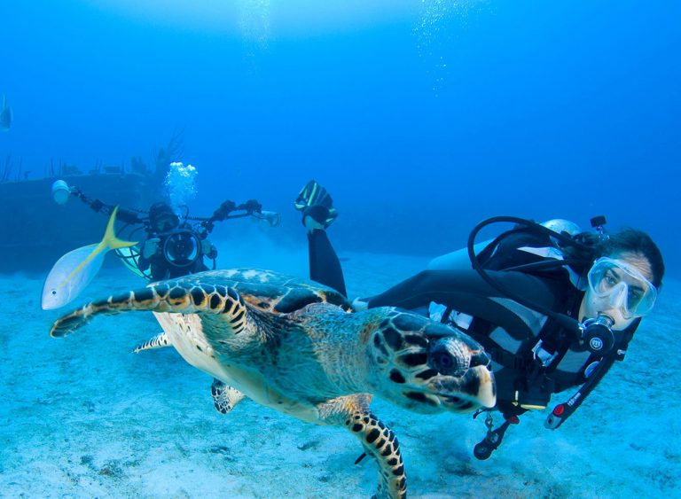 Scuba Diving in andaman